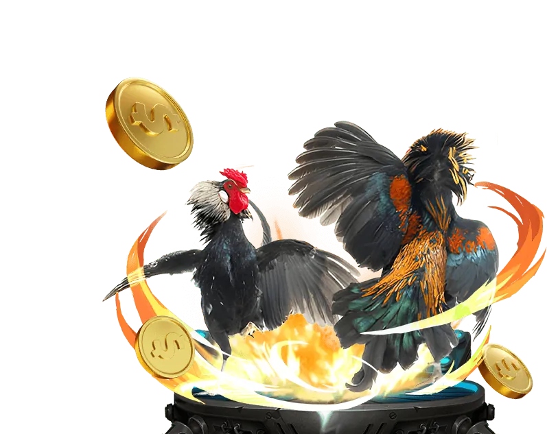 Tổng quan nền tảng tai kingfun